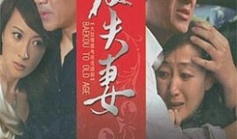 夫妻电视剧,夫妻情深电视剧