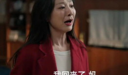 电视剧我的后半生全集在线观看,人生下半场，勇敢追梦的温情篇章